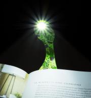 Pripínacia lampička na knihu Flexilight Cactus